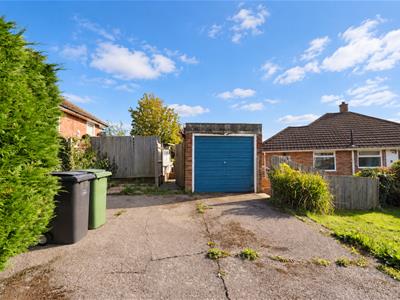 Picture 25
